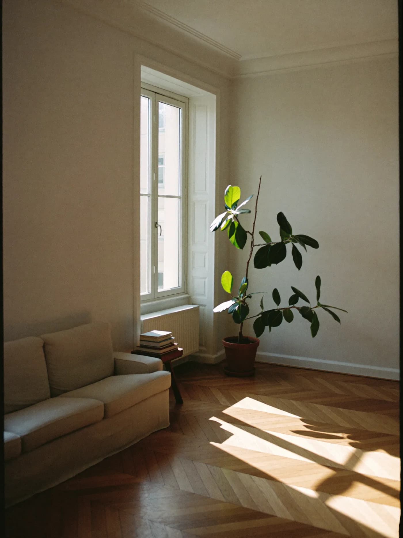 3-Zimmer-Altbauwohnung in Hamburg-Eimsbüttel